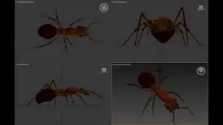 ant walk cycle 2