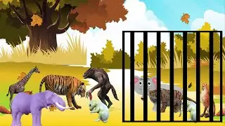 حكاية النمر و الذئب المتحول وحيوانات الغابة
