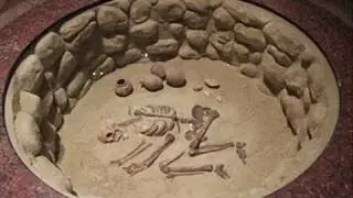 Nubia Museum
