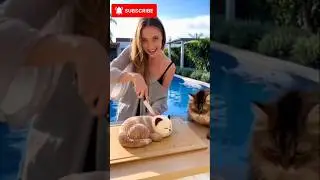 Real cat Freaks Out #cat#funny #funnyanimals #catcomedy #shorts