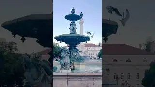 #travelvlog #lisbona #lisbonlife #lisbontravel #portugal #portugallife #portugaltrip