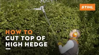 STIHL HLE 71 | How to cut the top of a high hedge | STIHL Tutorial