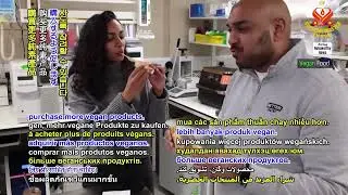 2702 NWN 6 European Union begins initiative to improve taste of vegan cheese 1080p