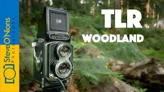 Film photography with a Minolta Autocord