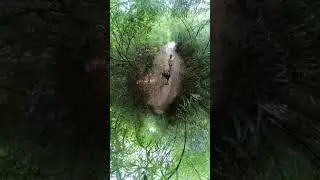 Tai Lam Chung Country Park