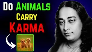 Do Animals Carry Karma? Ancient Indian Beliefs on Rebirth