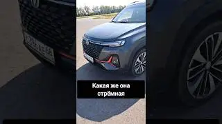 Когда она не оценила твоего китайца #changan #changanauto #automobile #тазовлог #мем #прикол