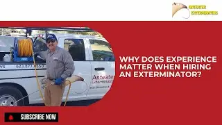 Why Does Experience Matter When Hiring an Exterminator?