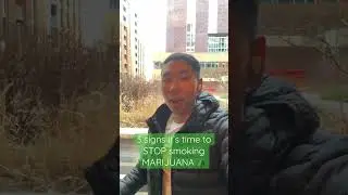 3 Signs It&rsquo;s Time To STOP Smoking MARIJUANA 🌲