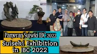 Pameran Suiseki di IBC 2022/Suiseki Exhibition in IBC 2022