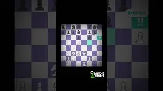 Brilliant Knight Sacrifice 🥶 | #shorts #chess #brilliantmoves #checkmate