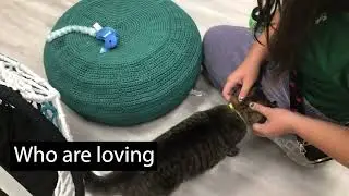 COMM215 Kittyqueen Lab