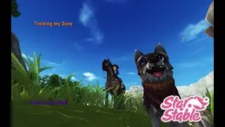 Training my Zony ~SSO~