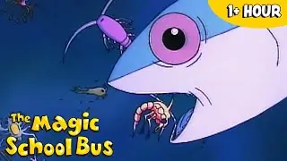 Who Eats Who? | Cartoons for Kids | The Magic School Bus | Scholastic After School