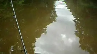 HAT CAM BASS