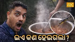 ଜଙ୍ଗଲ ଭିତରେ ଏମିତି ରାନ୍ଧଣା 😱 | ଶେଷରେ କଣ ହେଲା ? | Odia Jungle Cooking Vlog | Funny Sarathi