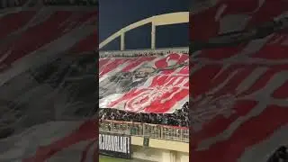 Koreografi BCS PSS Sleman #bcs #pss #psssleman #sleman #slemania #curvanord #curvasud #ultras #💚