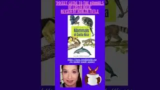 Review of Mammals of Costa Rica book by Merlin Tuttle  #bats #costarica #mammals #merlintuttle