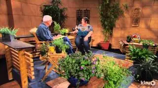 Central Texas Gardener|11.17.12|Made for the shade