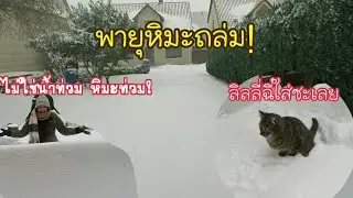 พายุหิมะถล่มเมือง อยู่เยอรมันมาหลายปีพึ่งเคยเจอแบบนี้