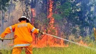 Fears 40 homes have been destroyed across NSW