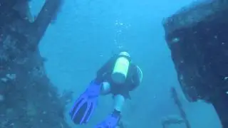 Sand Tiger Sharks - USCG Spar