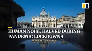 Human activity on Earth half as noisy during Covid-19 pandemic lockdowns