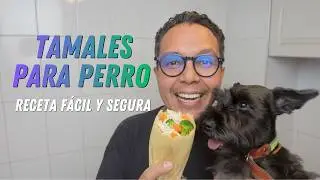 ¿Le das tamales a tu perro? Mira la alternativa segura