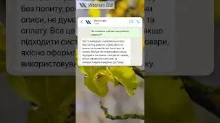 Інтернет магазин помилки