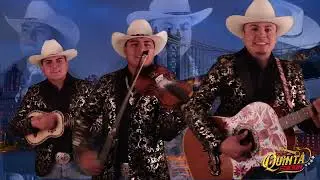 Batallando De Este Lado / trio quinta edición 