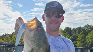 Table Rock Lake Fishing Report September 16 2025 MJF Guide Service 