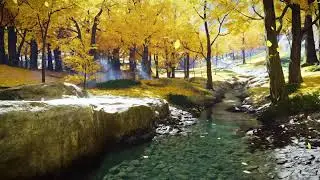 Sounds of nature: the gentle melodies of forests and rivers all day long 🌊🌳