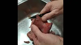 Steak de langue de boeuf (FISTULINA HEPATICA)
