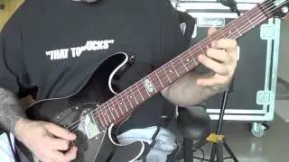 EBMM Steve Morse Dark Lord.