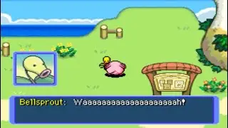 Talking to Bellsprout as Chansey - Pokémon Mystery Dungeon Red/Blue Rescue Team