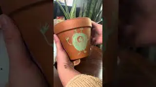 Painting plant pots ! 