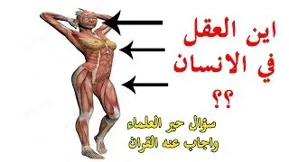 هل مكان العقل في القلب كما يقول القراَن ..أم يقع بالدماغ كما يقول العلماء ؟؟