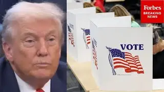 Trump Asked: 'What Exactly Did You Mean When You Said That You Should Nationalize Elections?'