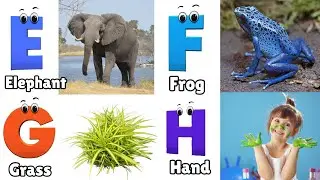 Phonics Song for Toddlers | Phonics Sounds of Alphabet A to Z | ABC Phonic Rhyme | Abcd