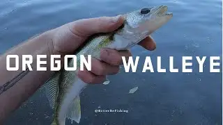 I caught THIS fish HERE?!