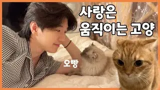 Лили, как же изменилась твоя любовь? 😹