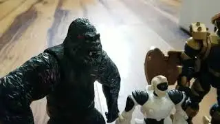 A Day in the Life of Cool Robert's Collection 5