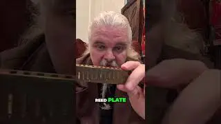 Harmonica Repair: How to Fix Your Broken Harmonica