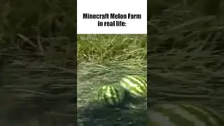 Minecraft Melon Farm Tutorial 🍉