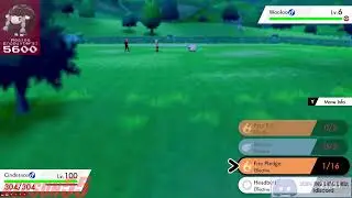 Do I have the worst shiny Wooloo hunting luck?