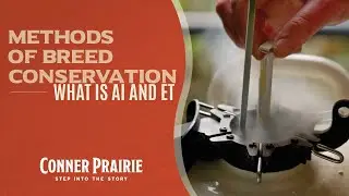 Conner Prairie - Methods of Breed Conservation: What is AI and ET