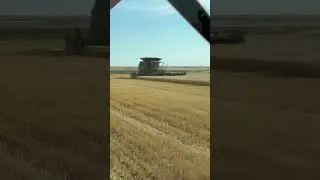 #harvest2024 is here!