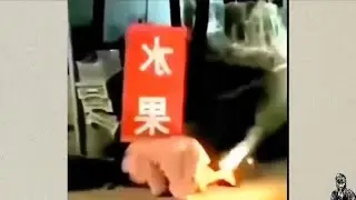 Top 5 Cracker Fail Clips 💣 pt 4