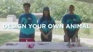 STEM Quick Win: Design Your Own Animal