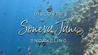 SNORKELING AT SONEVA JANI MALDIVES 2023 🐠🦈 Epic Snorkeling Experience in the Maldives (4K UDH)
